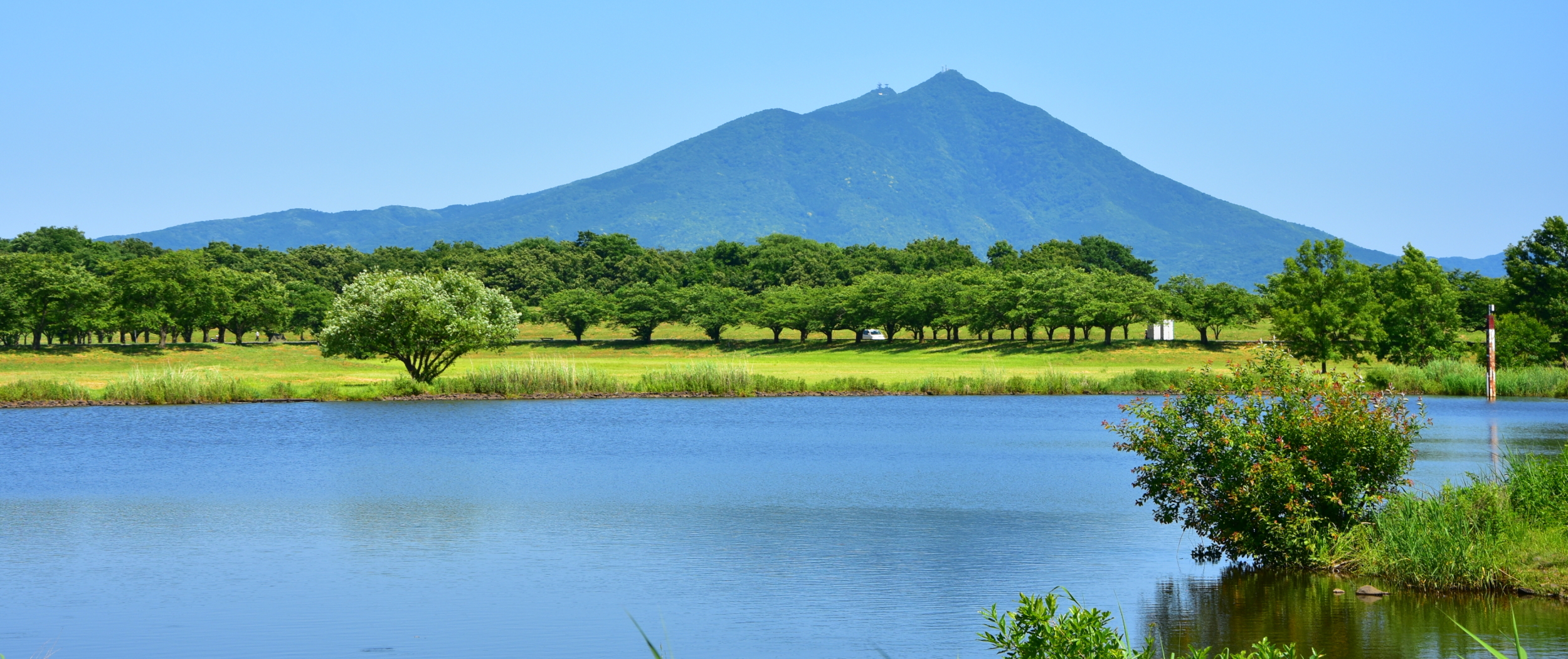 グリーンフィールドファーム ハヤシ農園 林農園 茨城県 結城市 野菜 農園