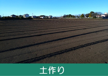 グリーンフィールドファーム ハヤシ農園 林農園 茨城県 結城市 野菜 農園