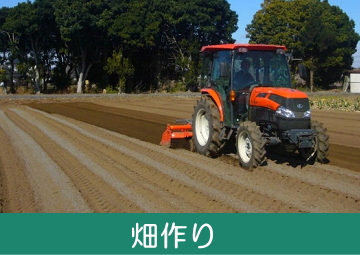 グリーンフィールドファーム ハヤシ農園 林農園 茨城県 結城市 野菜 農園